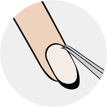 Hovedbilde Neglebåndsaks